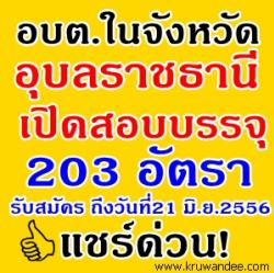 อบต.ในจังหวัดอุบลราชธานี เปิดสอบบรรจุรับราชการ จำนวน 203 อัตรา - รับสมัคร 3-21 มิถุนายน 2556