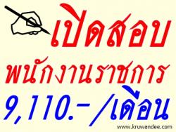 โรงเรียนบ้านอุมโละเหนือ เปิดสอบพนักงานราชการ เงินเดือน 9,110  บาท - รับสมัครตั้งแต่วันที่  1 ถึง 7 ส.ค.2556