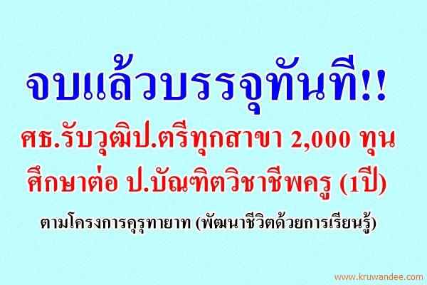 จบแล้วบรรจุทันที!! ศธ.รับวุฒิปริญญาตรีทุกสาขา 2,000 ทุน ศึกษาต่อ ป.บัณฑิตวิชาชีพครู (1ปี) โครงการทุนคุรุทายาท