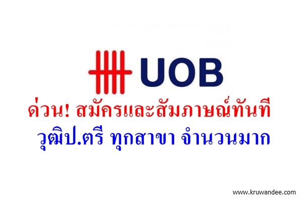 ด่วน! สมัครและสัมภาษณ์ทันที วุฒิป.ตรี ทุกสาขา ธนาคาร UOB เปิดรับสมัครพนักงานประจำ จำนวนมาก