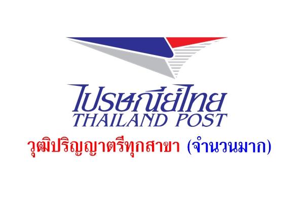 ด่วนเปิดรับจำนวนมาก! ไปรษณีย์ไทย รับสมัครงาน วุฒิปริญญาตรีทุกสาขา สมัครตั้งแต่บัดนี้ - 4 กันยายน 2558