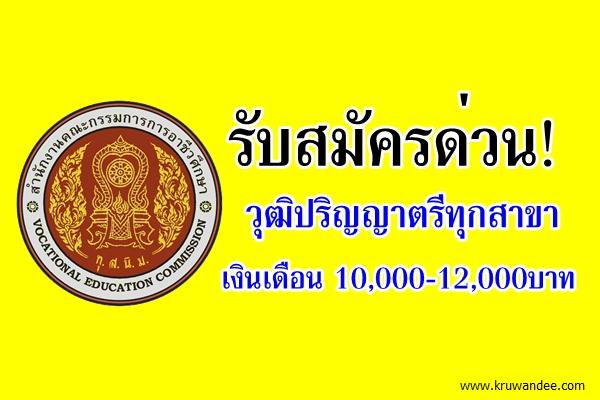 ศูนย์เทคโนโลยีสารสนเทศและกำลังคนอาชีวศึกษา รับสมัครพนักงาน วุฒิปริญญาตรีทุกสาขา จำนวน 2 อัตรา