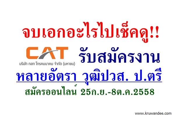 จบเอกอะไรไปเช็คดู!! CAT กสท รับสมัครงานหลายอัตรา วุฒิปวส. ป.ตรี สมัครออนไลน์ 25ก.ย.-8ต.ค.2558