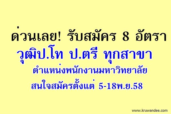 ด่วนเลย! รับสมัคร 8 อัตรา วุฒิป.โท ป.ตรี ทุกสาขา ตำแหน่งพนักงานมหาวิทยาลัย ตั้งแต่ 5-18พ.ย.58