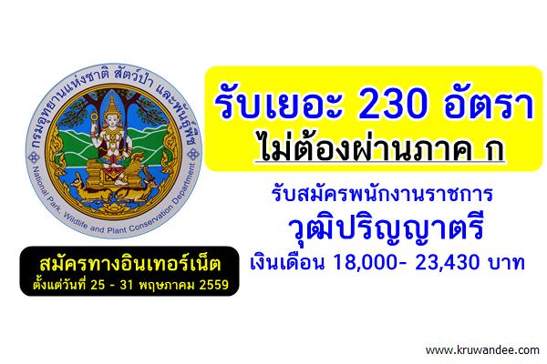 ไม่ต้องผ่านภาค ก 230อัตรา กรมอุทยานแห่งชาติ สัตว์ป่าและพันธุ์พืช รับสมัครพนักงานราชการ