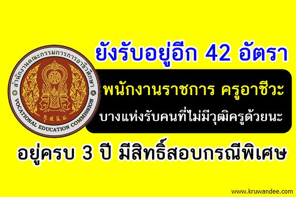 สนใจรีบไปสมัคร! สอศ.เปิดรับพนักงานราชการครู 42อัตรา อยู่3ปีสอบกรณีพิเศษได้นะ