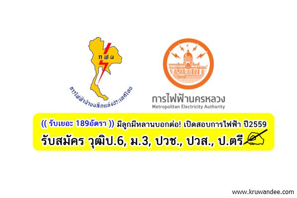 (189อัตรา) มีลูกมีหลานบอกต่อ! การไฟฟ้า เปิดสอบปี59 รับวุฒิป.6,ม.3,ปวช.,ปวส.,ป.ตรี