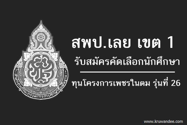 สพป.เลย เขต 1 รับสมัครคัดเลือกนักศึกษาทุนโครงการเพชรในตม รุ่นที่ 26