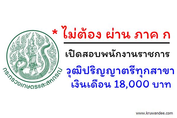 จังหวัดขอนแก่น เปิดสอบพนักงานราชการ วุฒิปริญญาตรีทุกสาขา เงินเดือน 18,000บาท