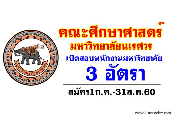 คณะศึกษาศาสตร์ มหาวิทยาลัยนเรศวร เปิดสอบพนักงานมหาวิทยาลัย 3 อัตรา สมัคร1ก.ค.-31ส.ค.60