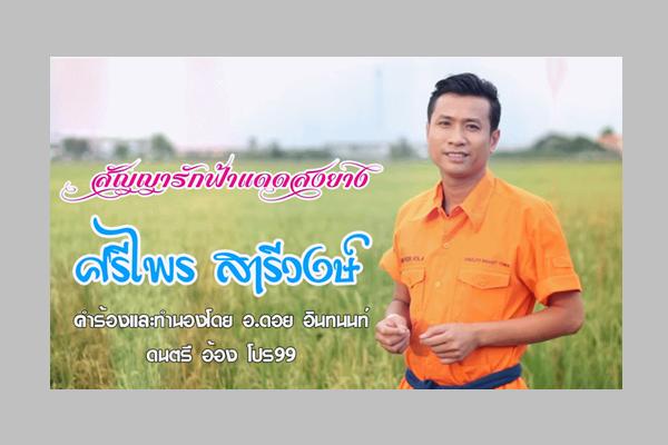 "สัญญารักฟ้าแดดสงยาง" - ศรีไพร สารีวงษ์ นักร้องหนุ่มเมืองมะขามหวาน เพลงใหม่ล่าสุด