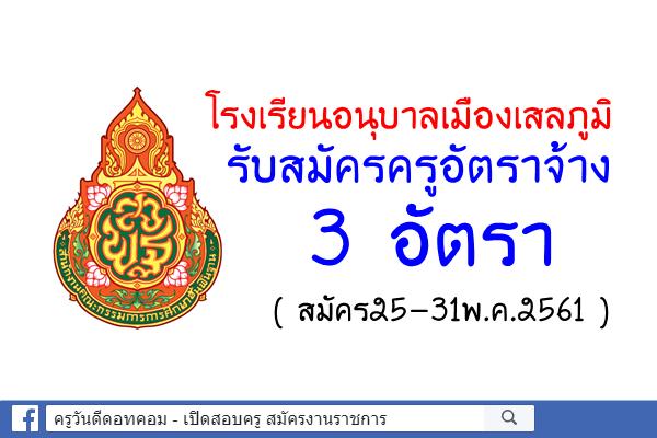 โรงเรียนอนุบาลเมืองเสลภูมิ รับสมัครครูอัตราจ้าง 3 อัตรา (สมัคร25-31พ.ค.61)