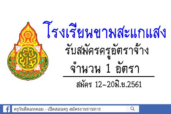 โรงเรียนขามสะแกแสง รับสมัครครูอัตราจ้าง จำนวน 1 อัตรา สมัคร12-20มิ.ย.61