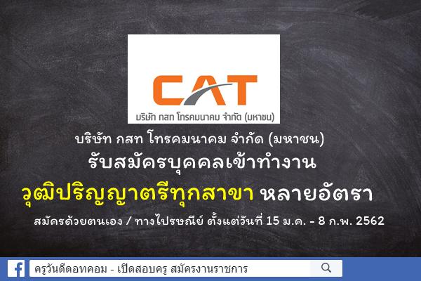 บริษัท กสท โทรคมนาคม รับสมัครงาน วุฒิปริญญาตรีทุกสาขา จำนวนหลายอัตรา สมัคร 15 ม.ค. - 8 ก.พ. 2562