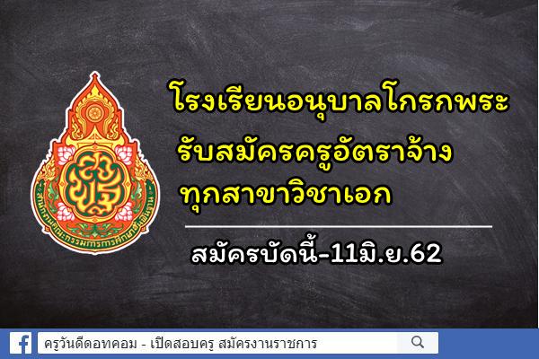 โรงเรียนอนุบาลโกรกพระ(ประชาชนูทิศ) รับสมัครครูอัตราจ้าง ทุกสาขาวิชาเอก สมัครบัดนี้-11มิ.ย.62