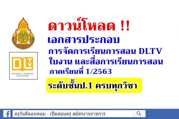 ดาวน์โหลดใบงาน สื่อการสอน DLTV ชั้นประถมศึกษาปีที่ 1 ภาคเรียนที่ 1/2563 ครบทุกวิชา