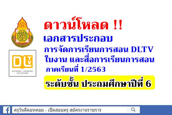 ดาวน์โหลดใบงาน สื่อการสอน DLTV ชั้นประถมศึกษาปีที่ 6 ภาคเรียนที่ 1/2563