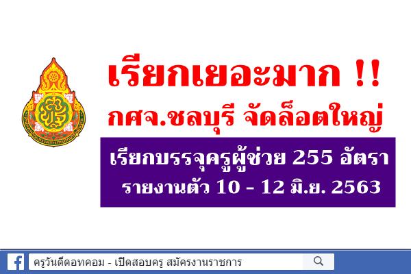 เรียกเยอะมาก!!! กศจ.ชลบุรี เรียกบรรจุครูผู้ช่วย 255 อัตรา รายงานตัว 10 - 12 มิ.ย. 2563