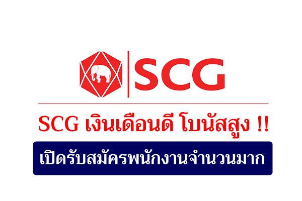 SCG เงินดี โบนัสสูง !! เอสซีจี บริษัทปูนซิเมนต์ไทย จำกัด (มหาชน) รับสมัครพนักงานจำนวนมาก
