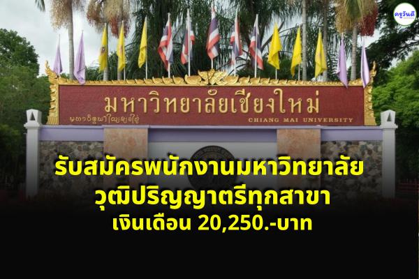 มหาวิทยาลัยเชียงใหม่ รับสมัครพนักงานมหาวิทยาลัย วุฒิปริญญาตรีทุกสาขา เงินเดือน 20,250.-บาท