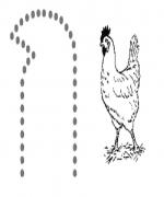 "ประกวดคัดไทย"ชิงถ้วยพระราชทาน