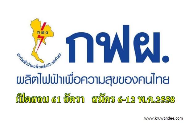 การไฟฟ้าฝ่ายผลิตแห่งประเทศไทย (กฟผ.) เปิดรับบุคคลภายนอกเป็นพนักงาน 61 อัตรา สมัคร 6-12 พ.ค.2558