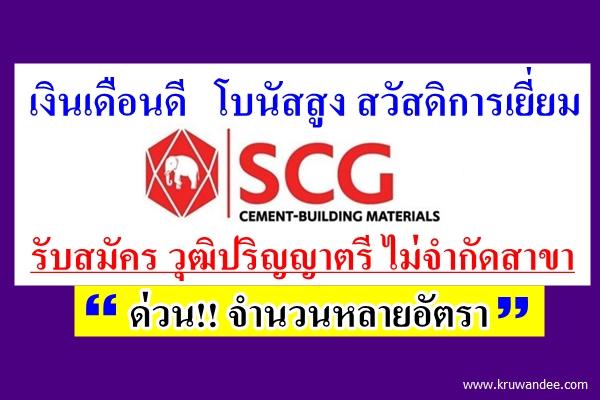 รับสมัครด่วน!!! จำนวนหลายอัตรา SCG Cement-Building Materials รับวุฒิปริญญาตรี ไม่จำกัดสาขา