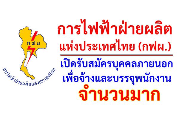 การไฟฟ้าฝ่ายผลิตแห่งประเทศไทย (กฟผ.) เปิดรับสมัครบุคคลภายนอกเพื่อจ้างและบรรจุพนักงาน ปี 2565 จำนวนมาก